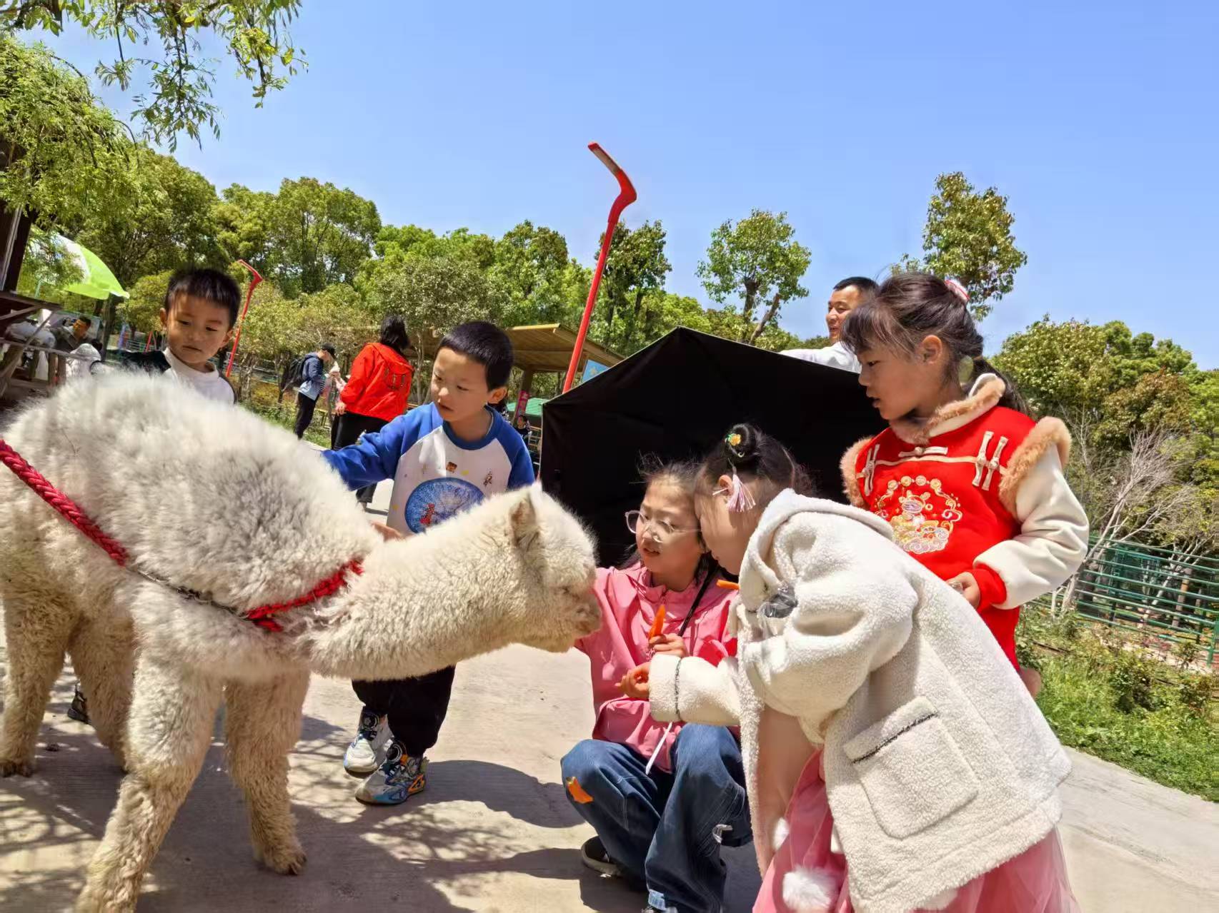 微信圖片_20250414085125.jpg 微信圖片_20250414085125.jpg